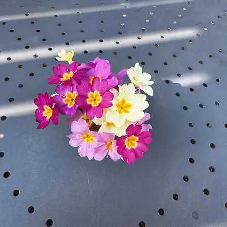 L Oustal D Henri Escale Chaleureuse דירה