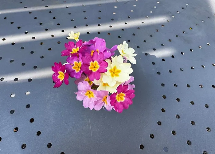 L Oustal D Henri Escale Chaleureuse Apartman